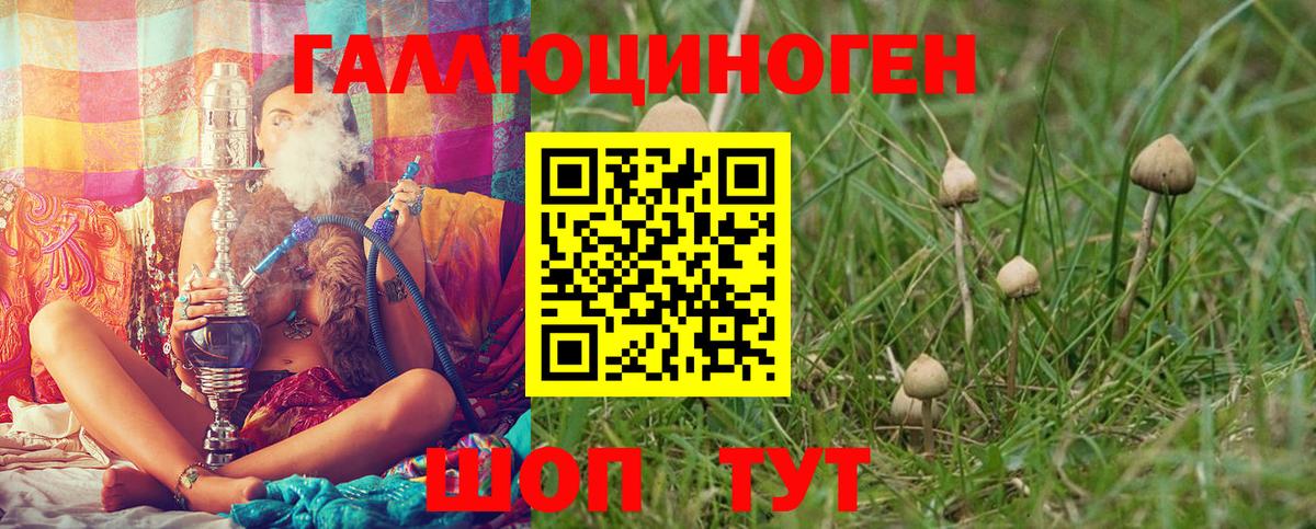 Красноуфимск  Псилоцибиновые грибы MAGIC MUSHROOMS  где продают   Вход с VPN 